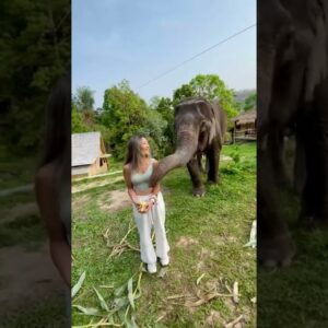 4-Months Solo Traveling in Southeast Asia