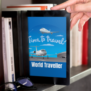 World Traveller