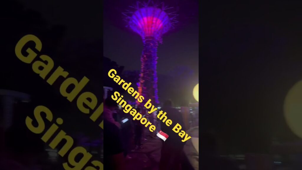 Guess the place #viral #shorts #travel #vlog #blog #asia #travelling #park #singapore #lightshow