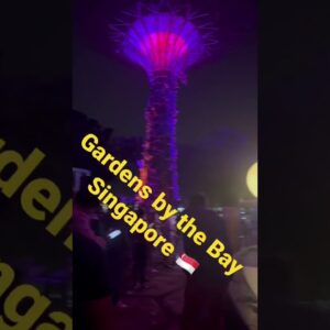Guess the place #viral #shorts #travel #vlog #blog #asia #travelling #park #singapore #lightshow