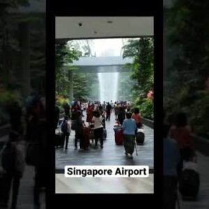Singapore  Changi Airport || Asia Travel || #shorts #singaporeairport #asiatravel #waterfall