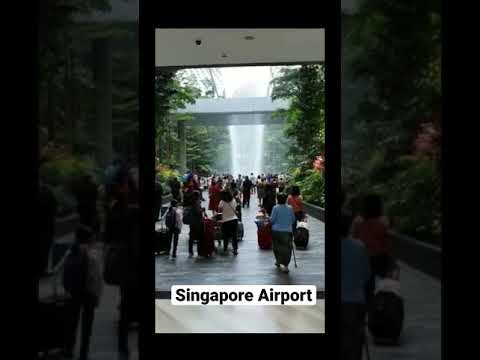 Singapore  Changi Airport || Asia Travel || #shorts #singaporeairport #asiatravel #waterfall