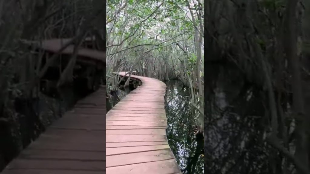 #whenatworld #travel #travelphotography #travelling #travelblog #traveler #srilanka #asia #lebanon