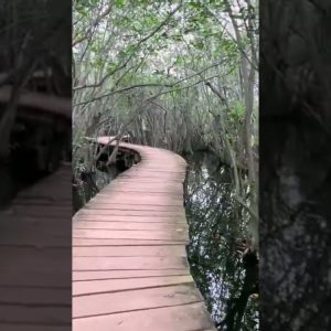 #whenatworld #travel #travelphotography #travelling #travelblog #traveler #srilanka #asia #lebanon