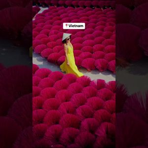 6 Countries in Asia: Our Epic Adventure Unfolds!