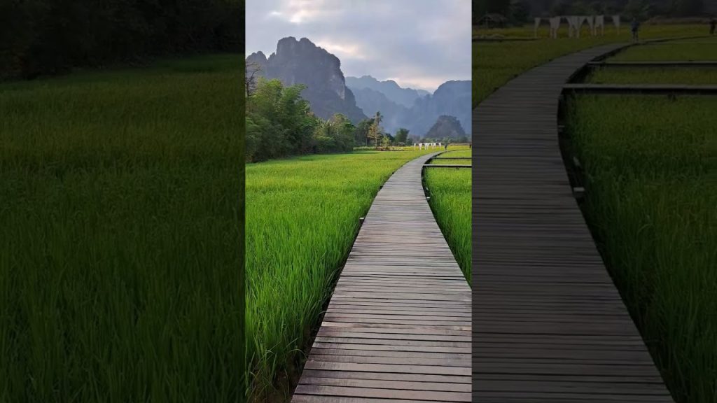 Rice & loom.   #traveler #blogger #travel #travelblogger #laos #laostrip #wanderlust #asia #blog