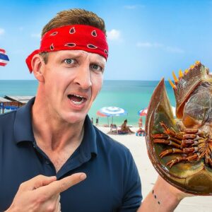 Thailand Seafood Street Food!! Cheapest in Asia!!